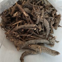 黃芽大戟 功效、價格與成藥應(yīng)用