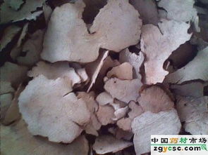 海翔中藥 專注放射性藥品供應(yīng)，助力精準(zhǔn)醫(yī)療發(fā)展