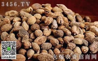 中藥材與放射性藥品的冬季管理技術要點解析